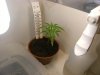 grow journal 004.jpg