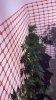 20131229_173944.jpg
