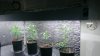 WP_20131206_001.jpg