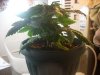 DSCN4194.jpg