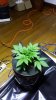 20131126_163643.jpg