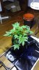 20131202_144521.jpg