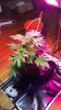 20131204_150716.jpg