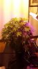 20131222_071312.jpg