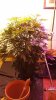 20131225_164837.jpg