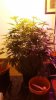 20131227_135345.jpg