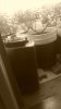 IMAG0964.jpg