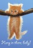 hanginthere001.jpg