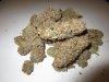1Obama_Kush.jpg