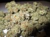 3Blackberry_Kush.jpg