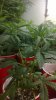 WP_20140105_005.jpg