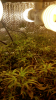 04107-31cc83cc-1056-43de-b79d-fc5d614297d7.png