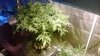 WP_20131117_001.jpg
