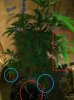 Vet.jpg
