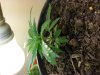 20140107_163654.jpg