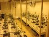 v3-transplant-trays.jpg