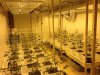 v-week1-trays.jpg