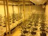 v10-trays.jpg