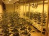 v17-trays.jpg