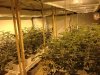 f4-trays.jpg