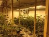 f6-trays.jpg