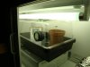 DSC00538.jpg