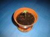 DSC00539.jpg