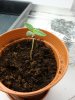 DSC00543.JPG