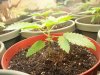 The Babies! 016.jpg