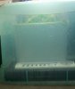 Grow pics 08-09 009.jpg