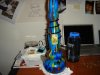 DSC01972.jpg