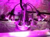 DSCN3172.jpg DSCN3172.jpg