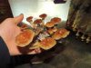 944626615-thumb_016.jpg