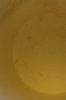 dwc2.jpg