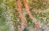 trichs2.jpg trichs2.jpg