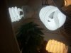 DSCN4202.jpg DSCN4202.jpg