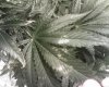 01-16-14_1147.jpg