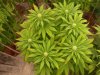DSCN1735.jpg