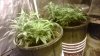 WP_20140120_004.jpg
