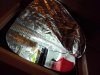 DSC03153.jpg