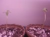 20140122_013946.jpg