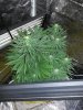 20140122_083043.jpg