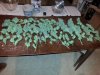Harvest #3.jpg