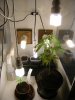grow journal 024.jpg