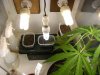 grow journal 029.jpg