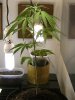 grow journal 030.jpg