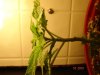 DSC01699.jpg