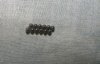 stinkbug eggs.jpg
