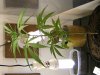grow journal 033.jpg