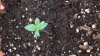 20140124_135735.jpg
